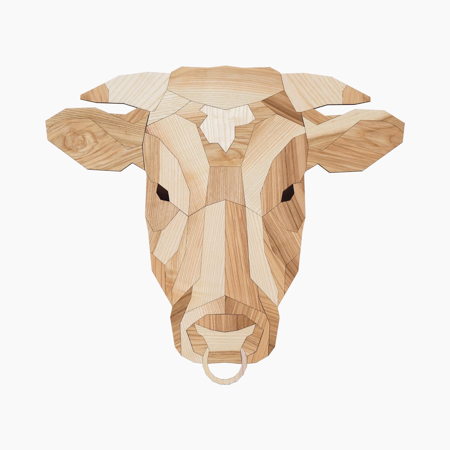 stier bull hout wandkop dierenkop dier poly animal wood kopstuk