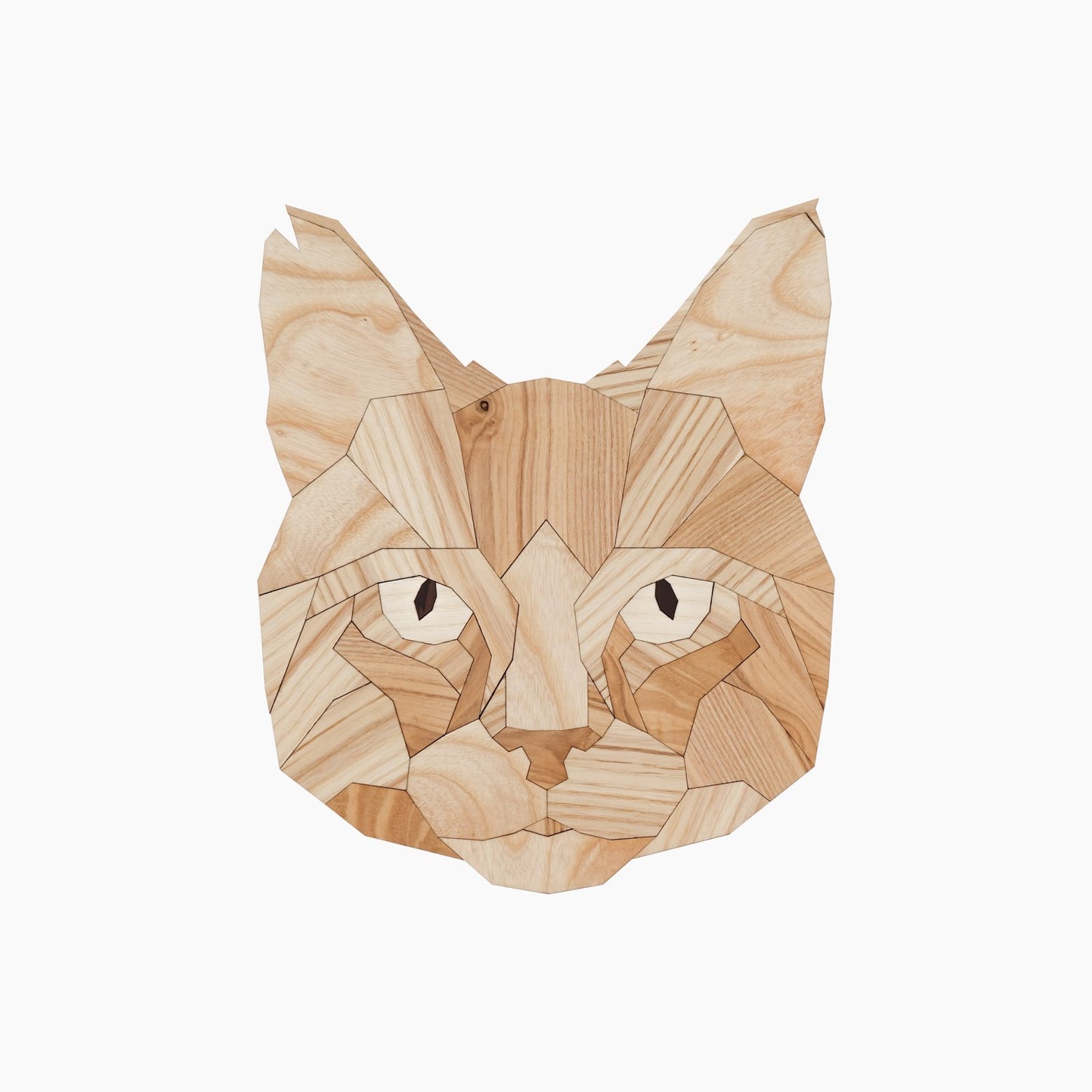kat cat poes hout wandkop dierenkop dier poly animal wood kopstuk